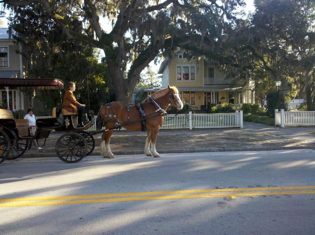 Hoyt House Luxury Bed & Breakfast Fernandina Beach Bagian luar foto